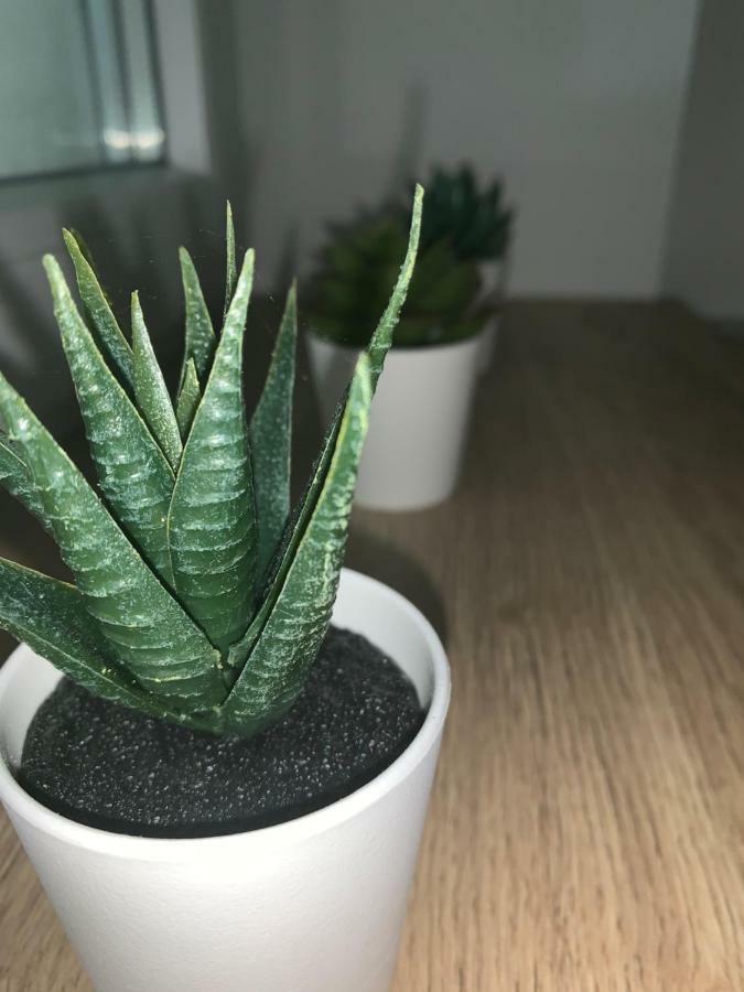 Sb 42 Apartament